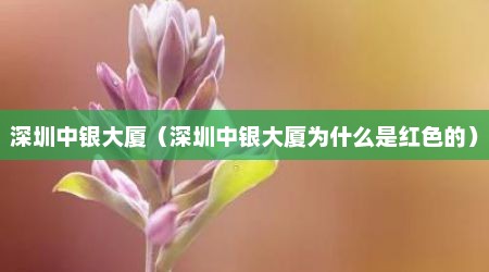 深圳中银大厦（深圳中银大厦为什么是红色的）
