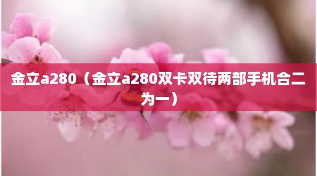 金立a280（金立a280双卡双待两部手机合二为一）