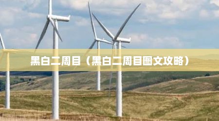 黑白二周目（黑白二周目图文攻略）
