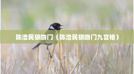 陈浩民狼吻门（陈浩民狼吻门九宫格）