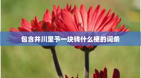包含井川里予一块钱什么梗的词条
