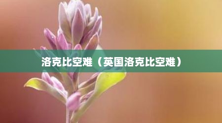 洛克比空难（英国洛克比空难）