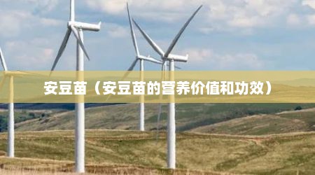 安豆苗（安豆苗的营养价值和功效）