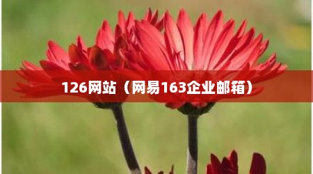126网站（网易163企业邮箱）