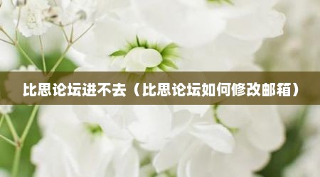 比思论坛进不去（比思论坛如何修改邮箱）