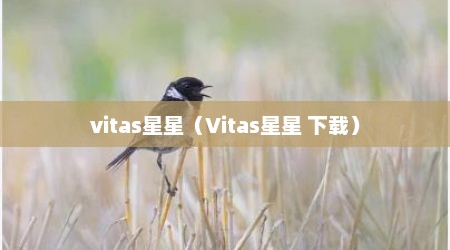 vitas星星（Vitas星星 下载）