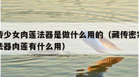 藏传少女肉莲法器是做什么用的（藏传密宗可怕法器肉莲有什么用）