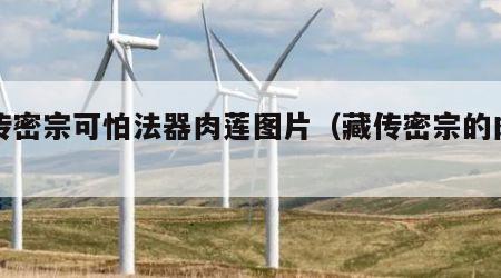 藏传密宗可怕法器肉莲图片（藏传密宗的肉莲）